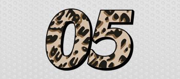 Leopard Print Full-Color Number Kit