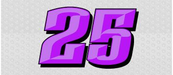 purple-Speedway-go-kart-vinyl-race-number-kit