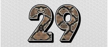 Snake Skin Full-Color Number Kit